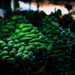 Piles of fresh avocados beautifully displayed in a market setting, showcasing vibrant green hues.